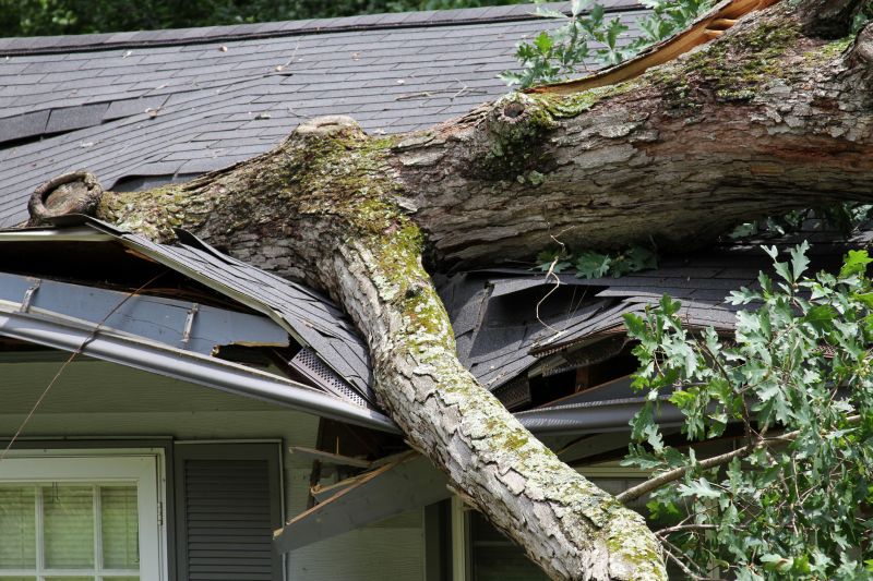 Tree on Roof Damage